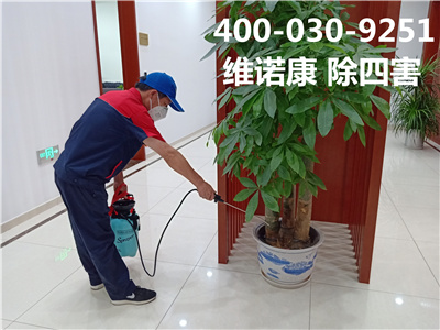 海淀区专业除四害公司400-030-9251维诺康上门蚊蝇消杀服务