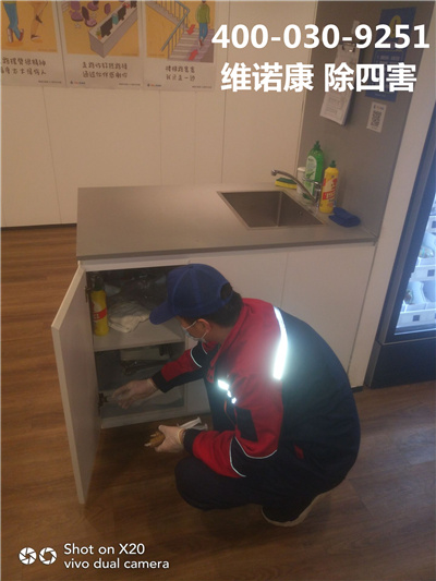东城区消杀四害服务400-030-9251维诺康北京灭鼠灭蟑螂