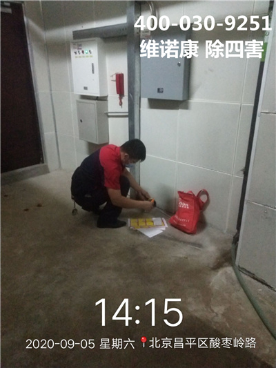 密云区专业宾馆酒店餐饮加工捕鼠灭鼠400-030-9251维诺康除四害公司