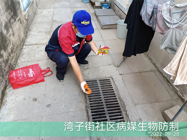 成寿寺大红门消杀蟑螂的格式400-030-9251维诺康北京快速上门除四害