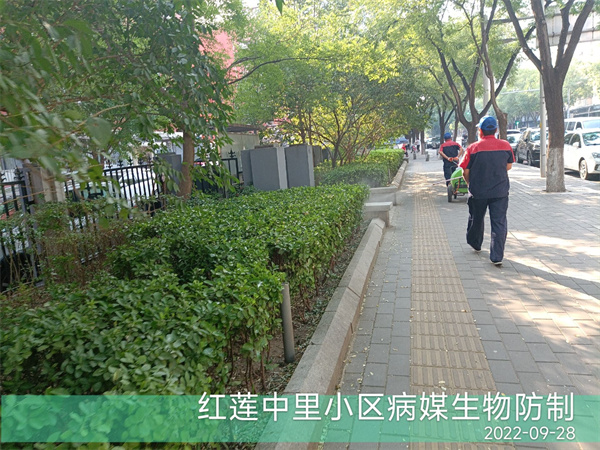 丰台快速上门四害公司电话400-030-9251维诺康灭蟑螂灭蚊蝇灭鼠