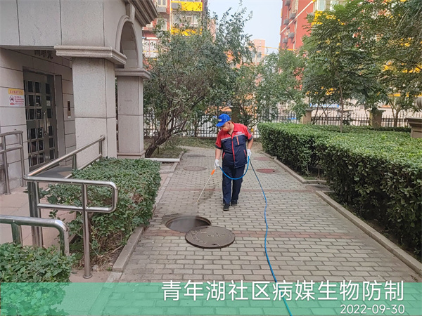门头沟灭蟑螂灭鼠除四害400-030-9251维诺康宾馆酒店专业杀虫