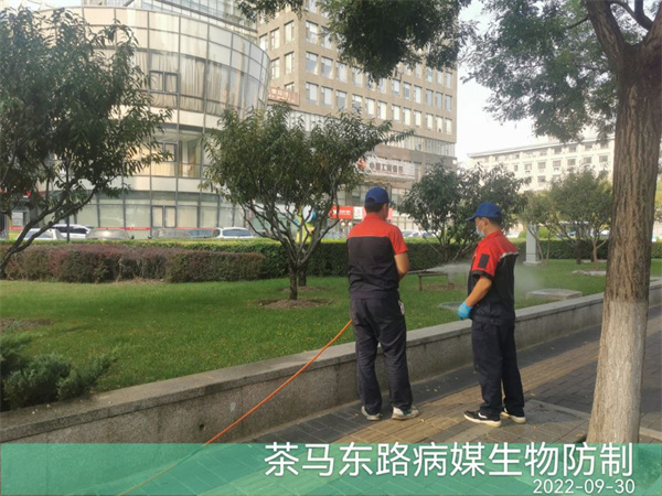 西城区专业灭蚊蝇公司400-030-9251维诺康北京杀虫灭鼠公司