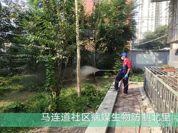 顺义灭鼠灭蟑螂400-030-9251维诺康北京除四害公司