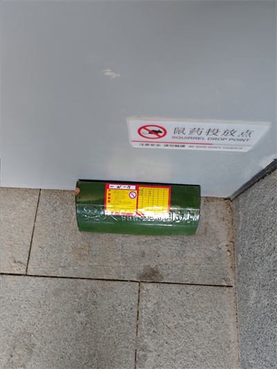 家庭灭鼠的注意事项